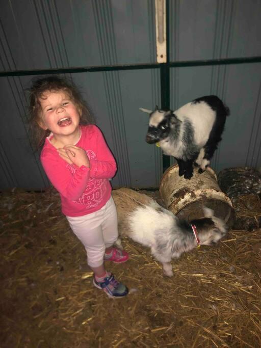 Lappi Farm Villa Berridale Bagian luar foto